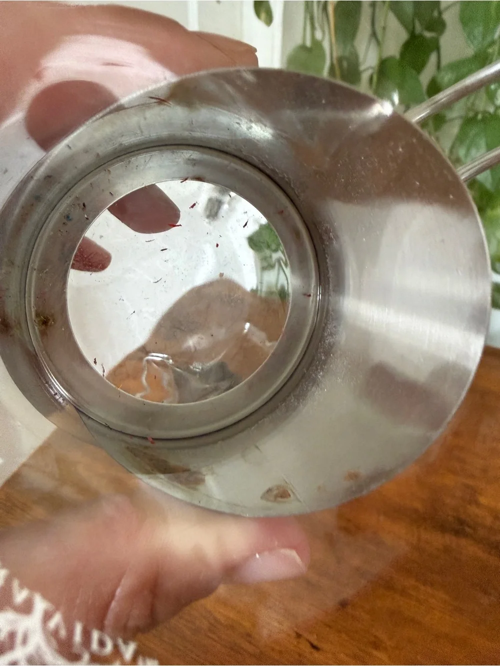 Pura Vida clear glass